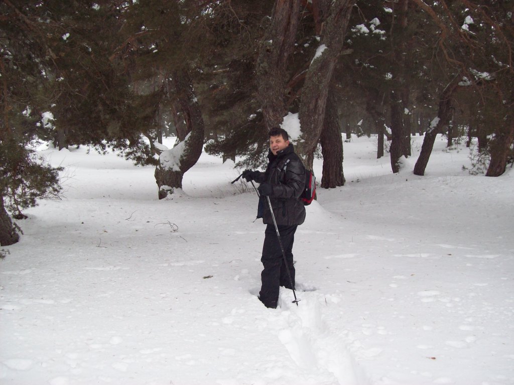 100_3667.jpg