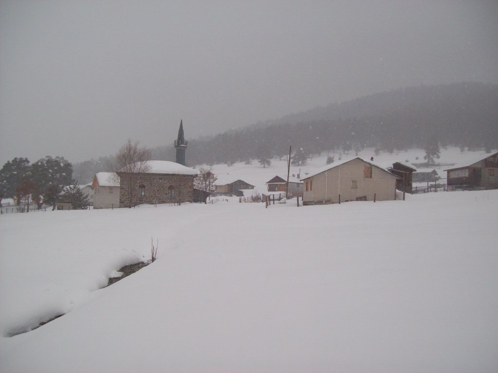 100_3683.jpg