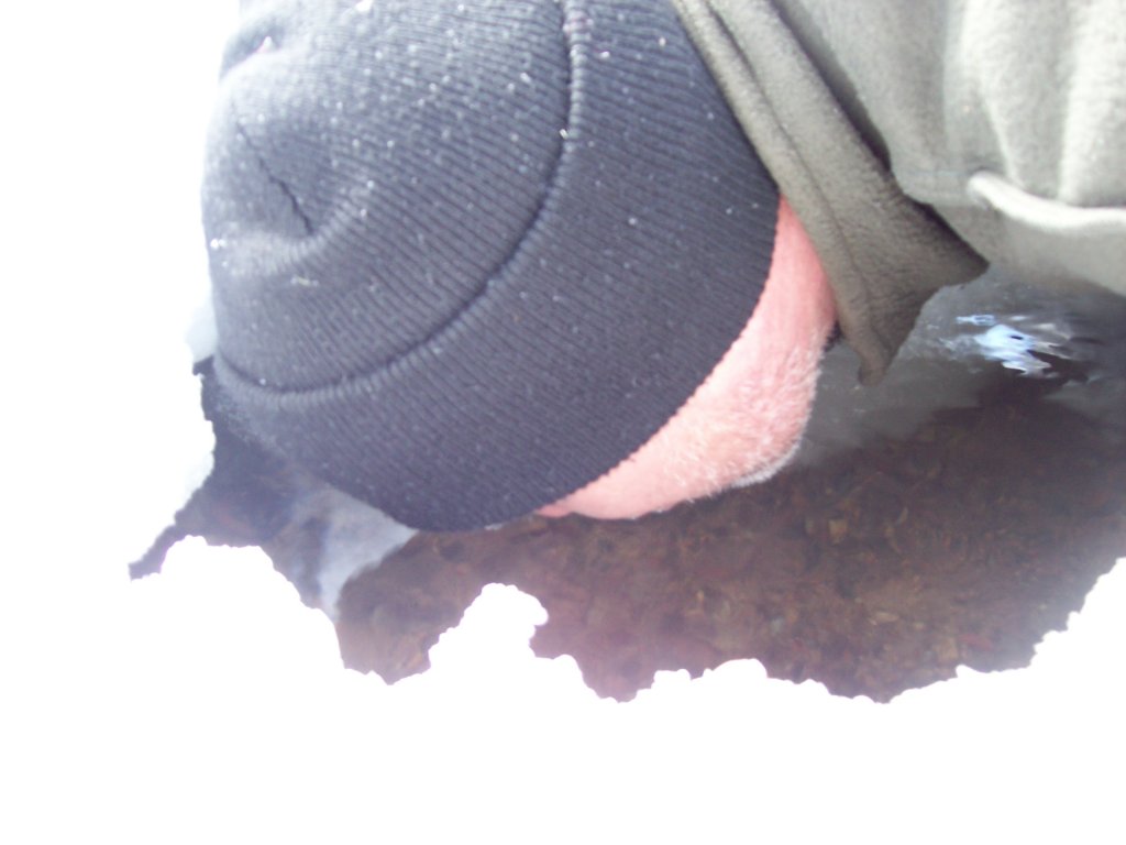 100_3725.JPG