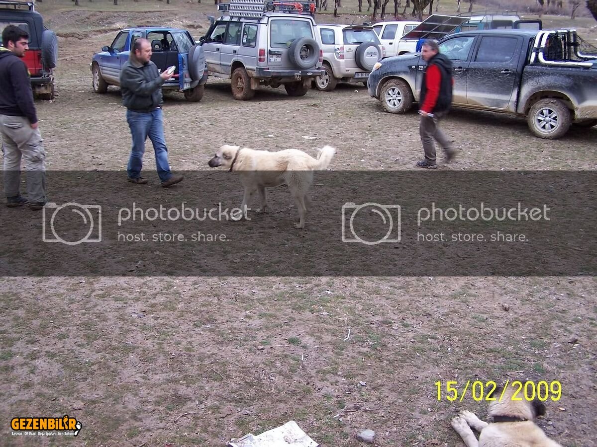 100_3959.jpg