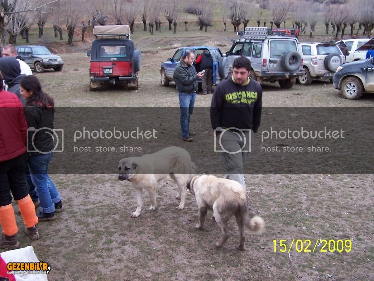 100_3961.jpg