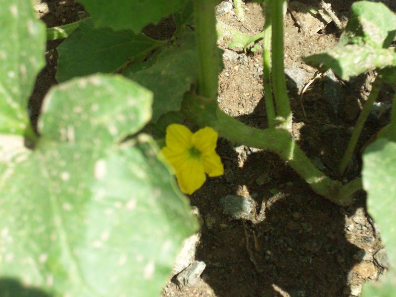 100_4265.jpg