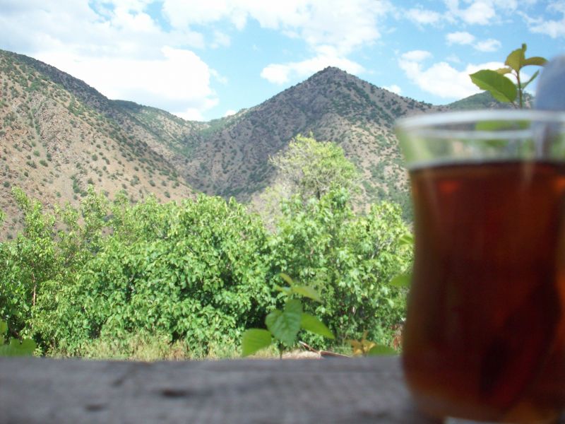 100_4419.jpg
