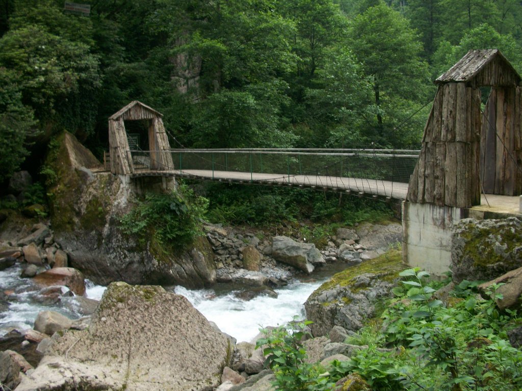 100_4558.jpg
