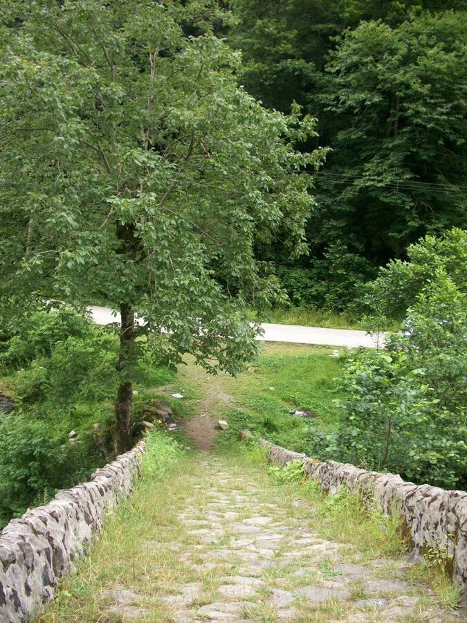 100_4588.jpg