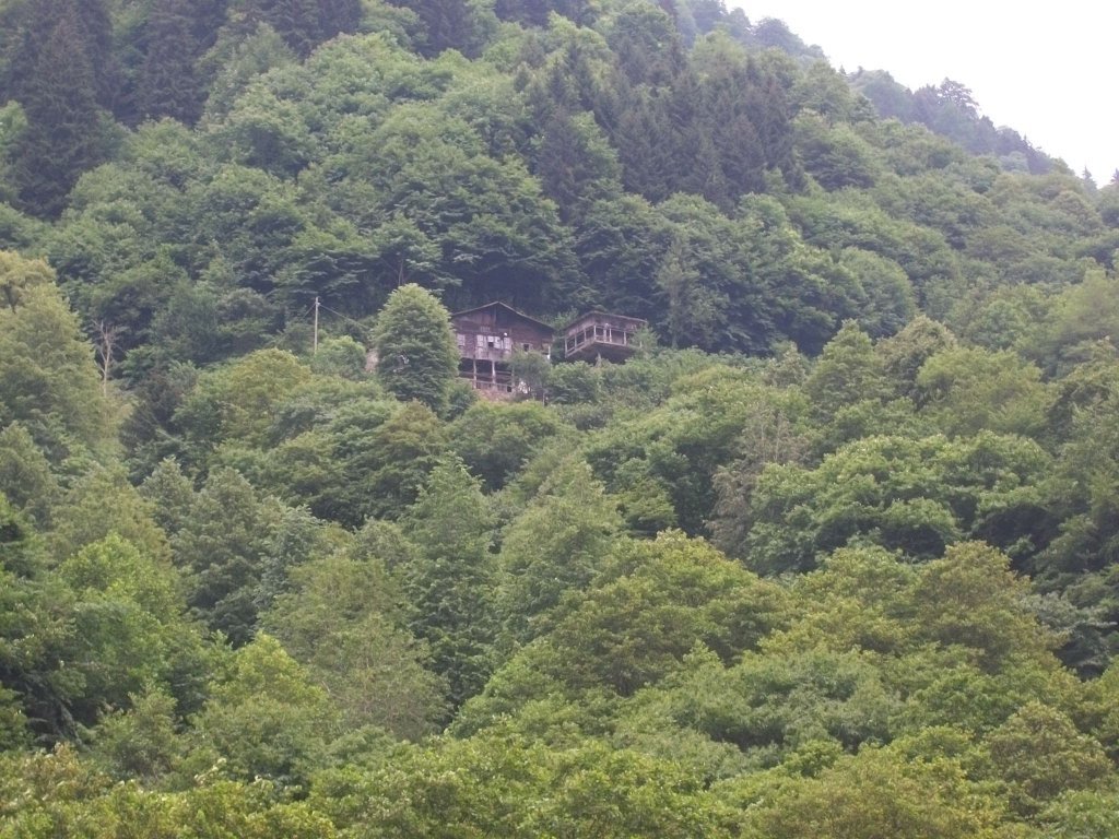 100_4604.jpg