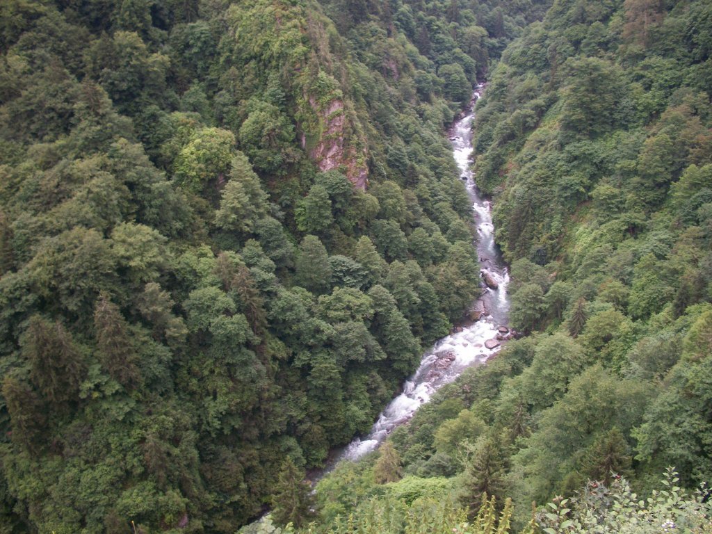 100_4619.jpg