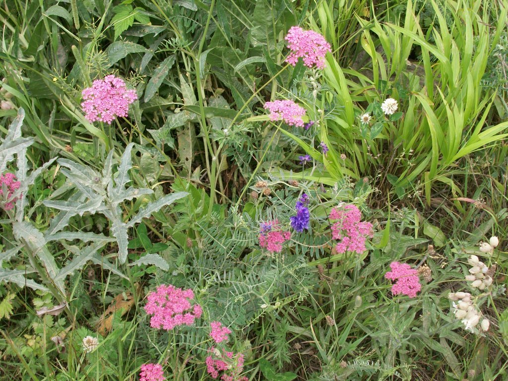 100_4678.jpg