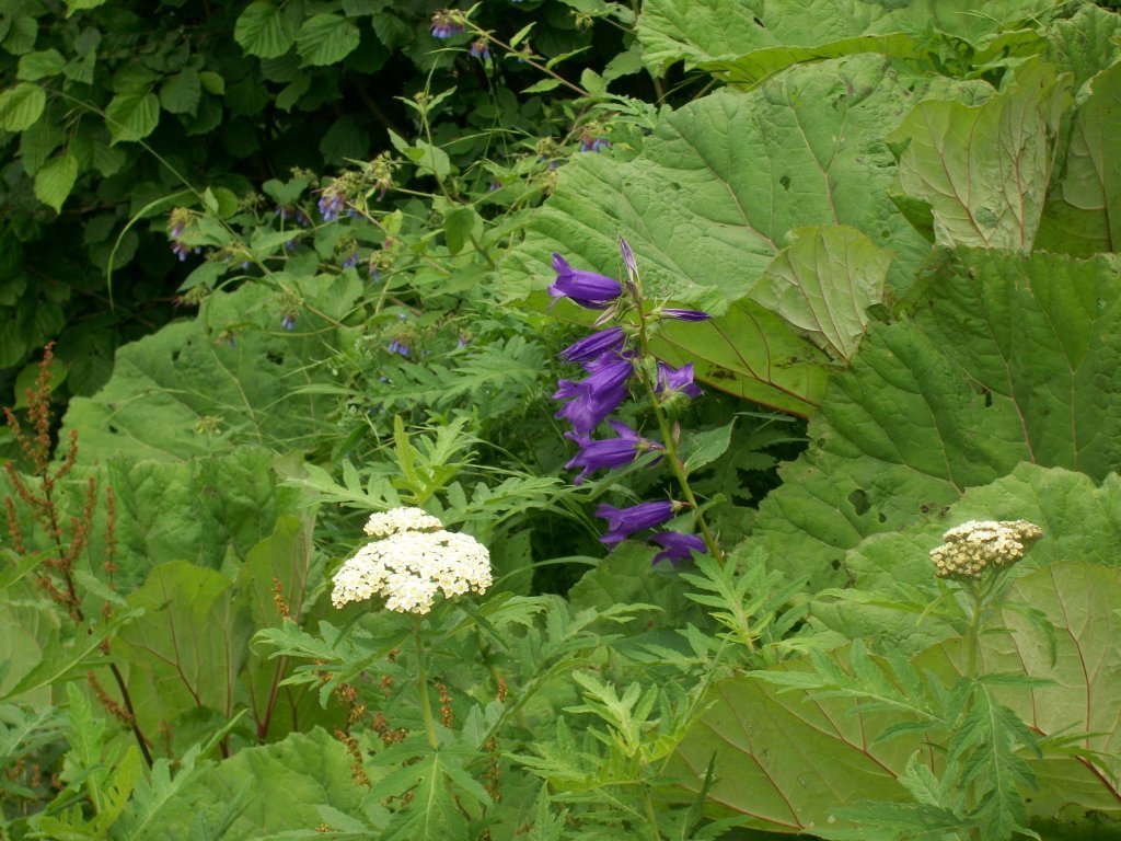 100_4679.jpg