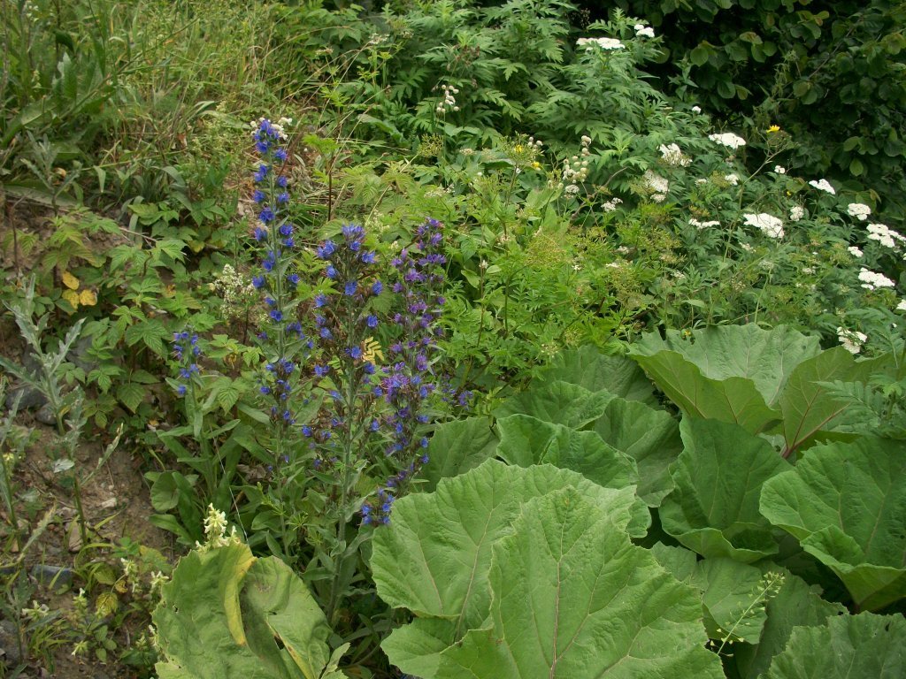 100_4680.jpg