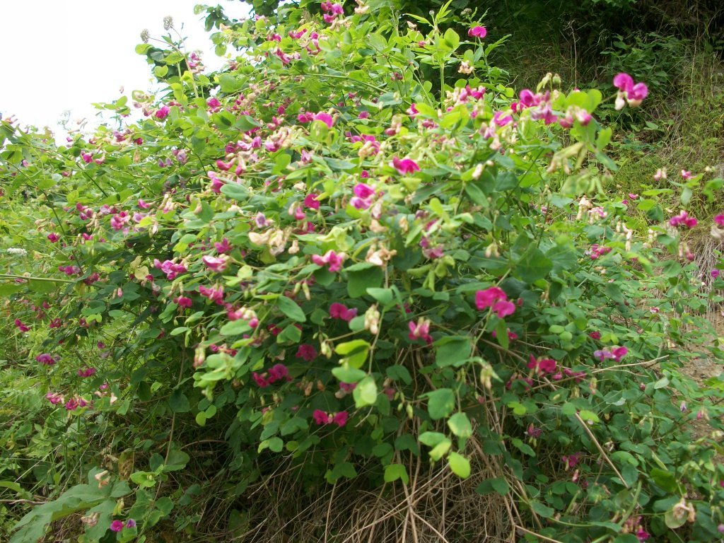 100_4681.jpg