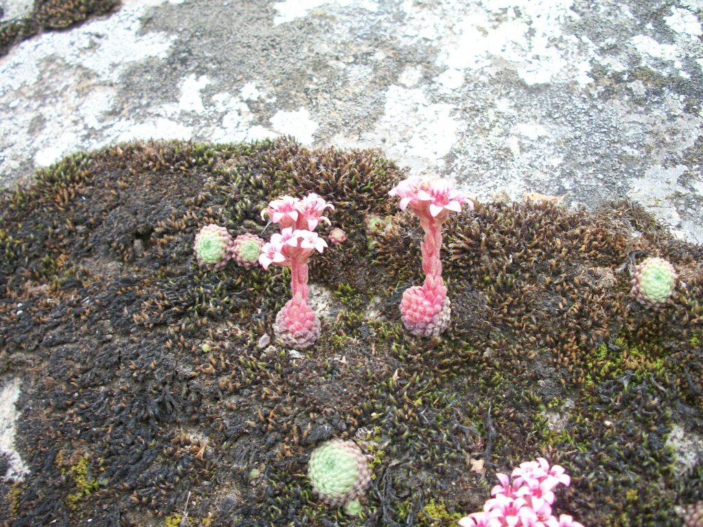 100_4686.jpg