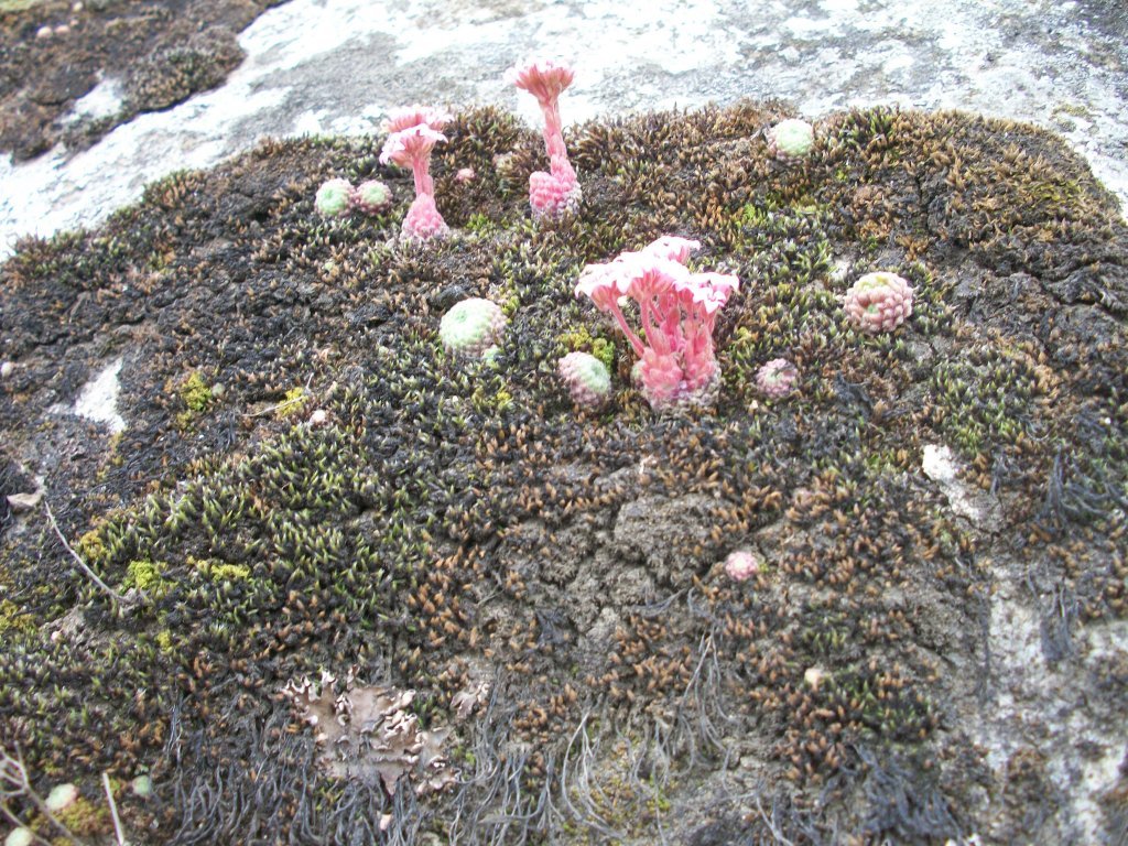 100_4687.jpg