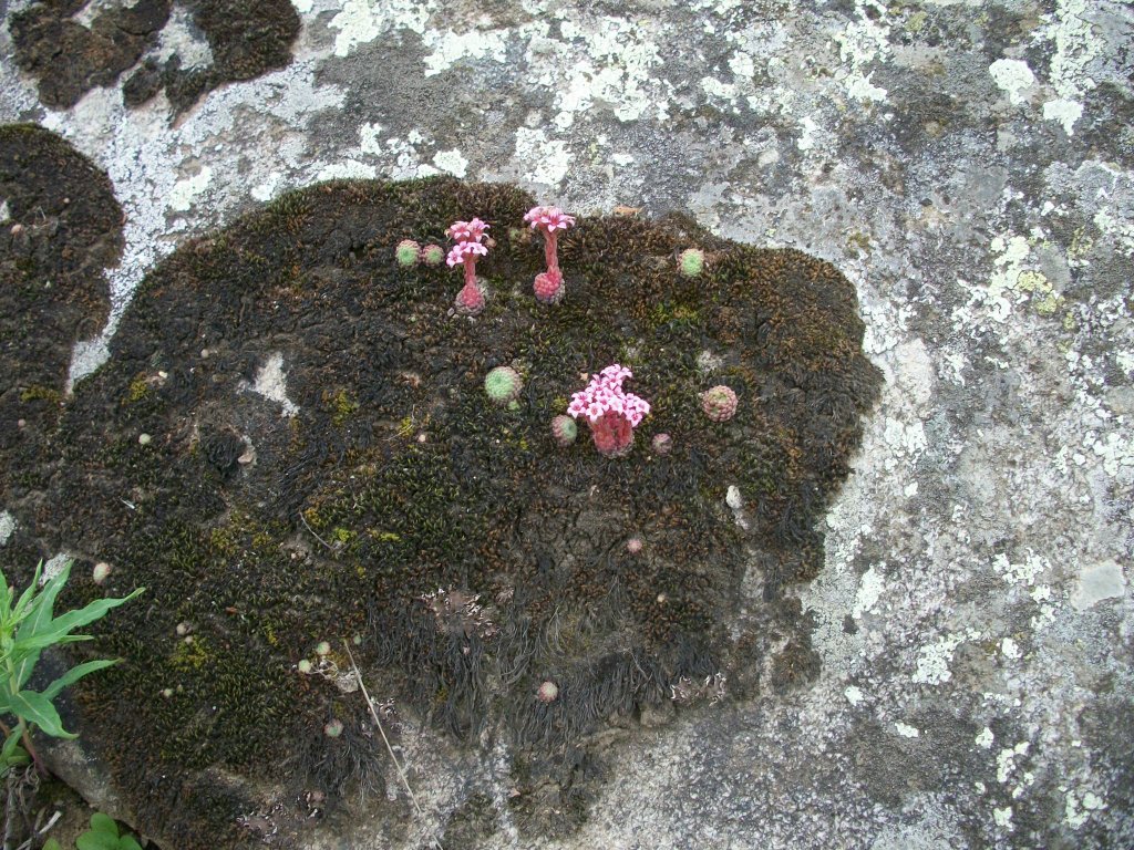 100_4688.jpg
