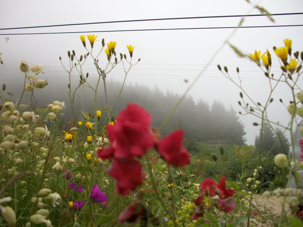 100_4700.jpg