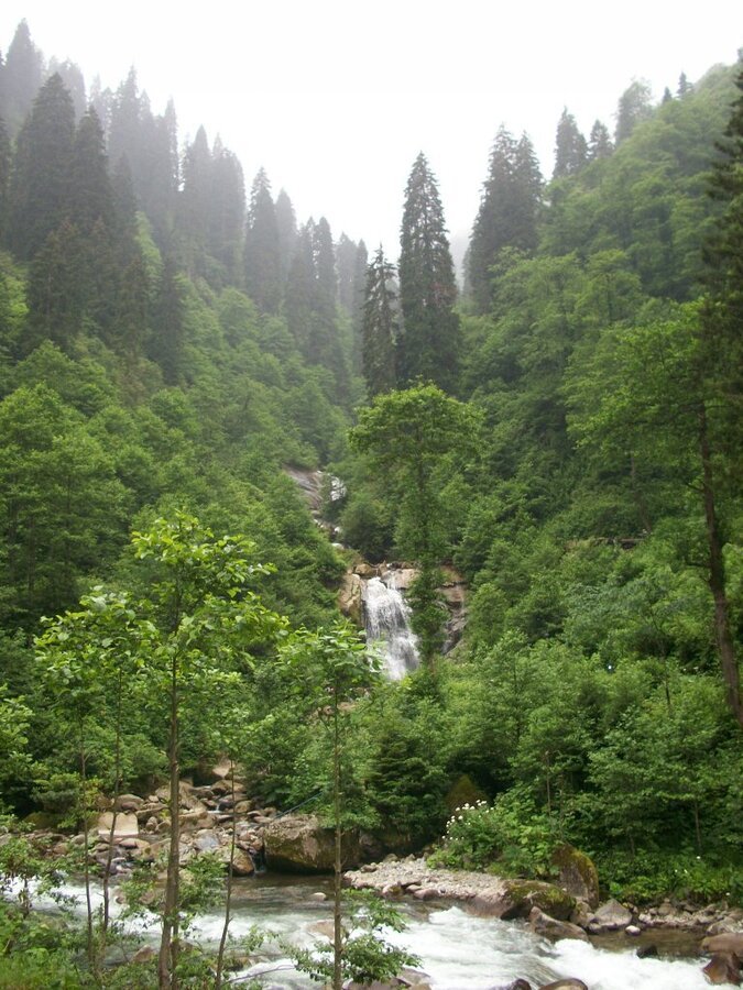 100_4701.jpg