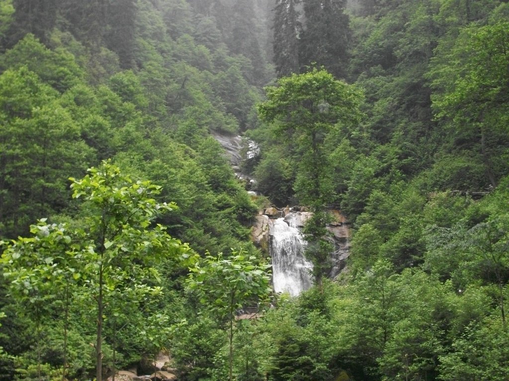 100_4702.jpg