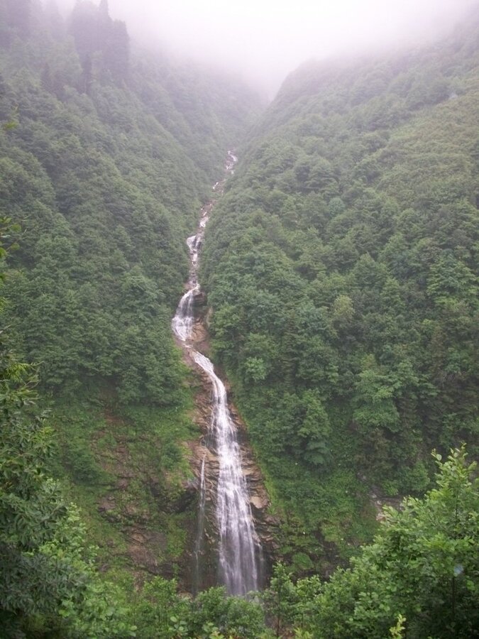 100_4703.jpg