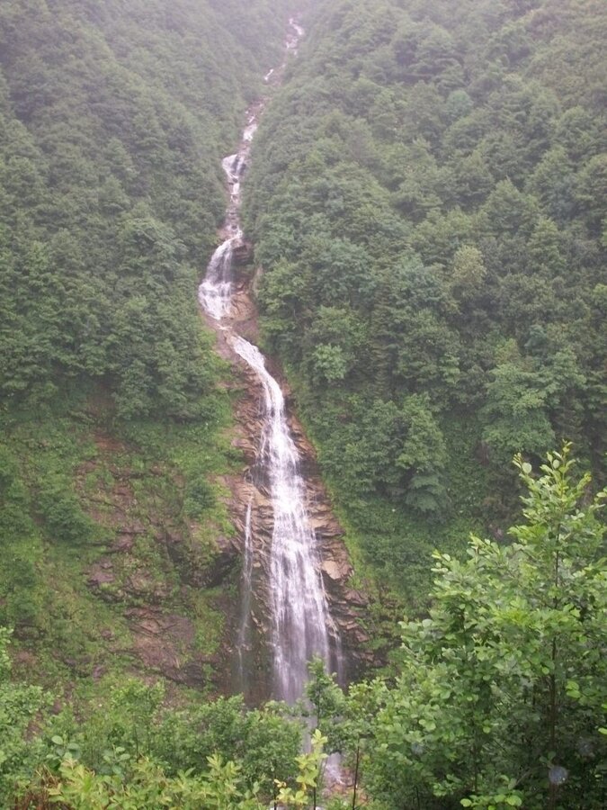 100_4704.jpg