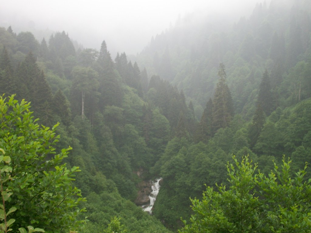100_4705.jpg