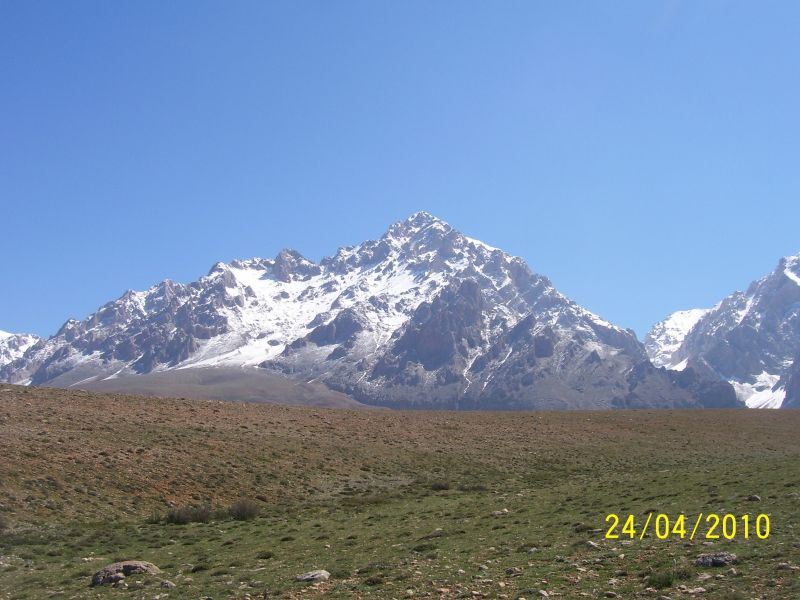 100_4856.jpg