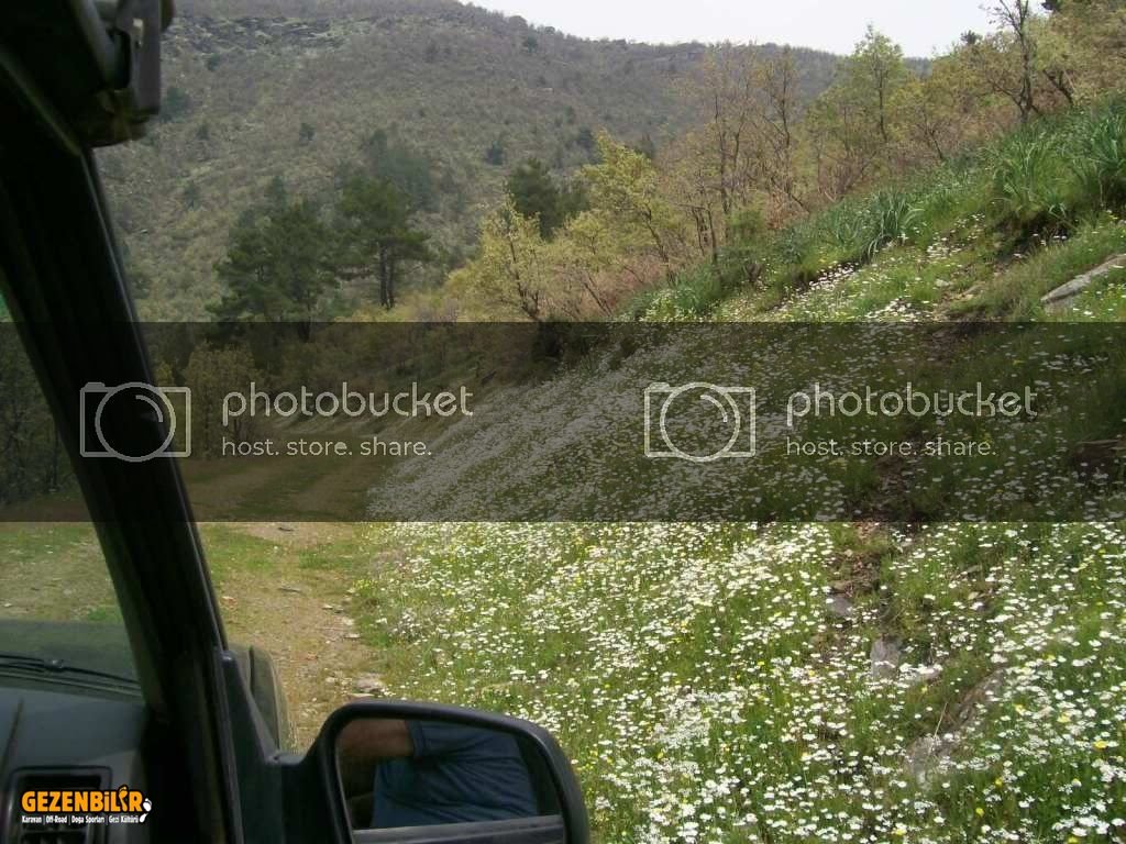 100_4857.jpg