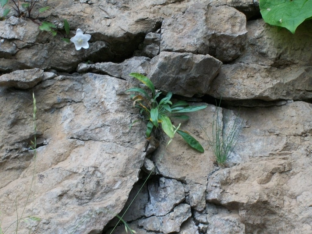 100_4918.jpg