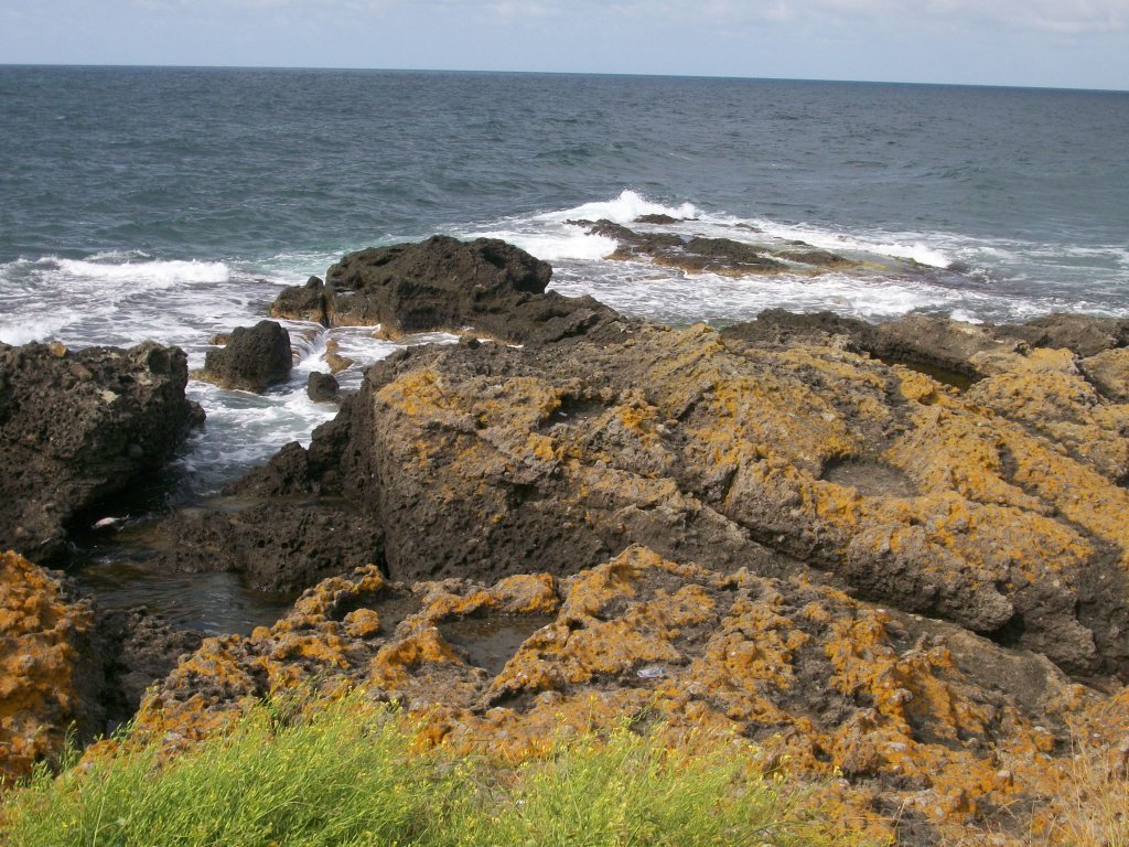 100_5091.jpg