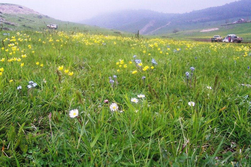 100_5175.JPG