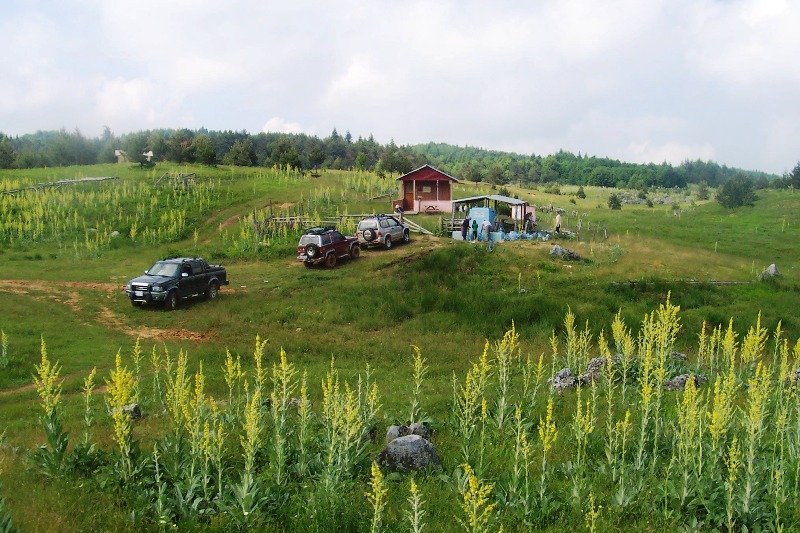 100_5273.JPG
