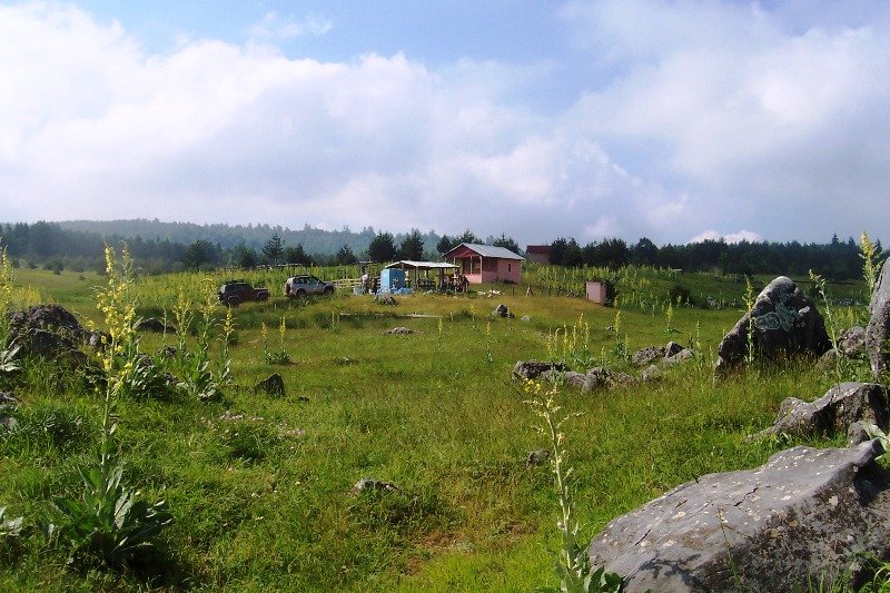 100_5282.JPG
