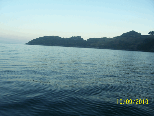 100_5583.gif