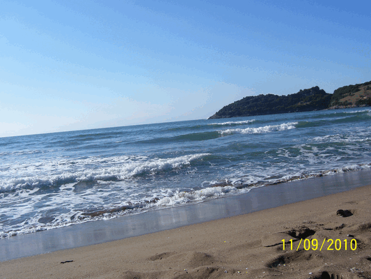 100_5639.gif