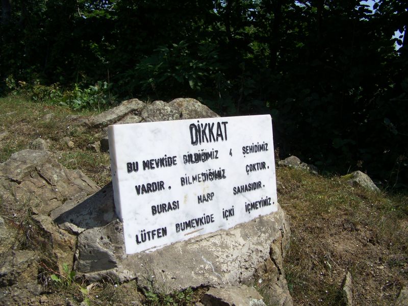 100_6171.jpg