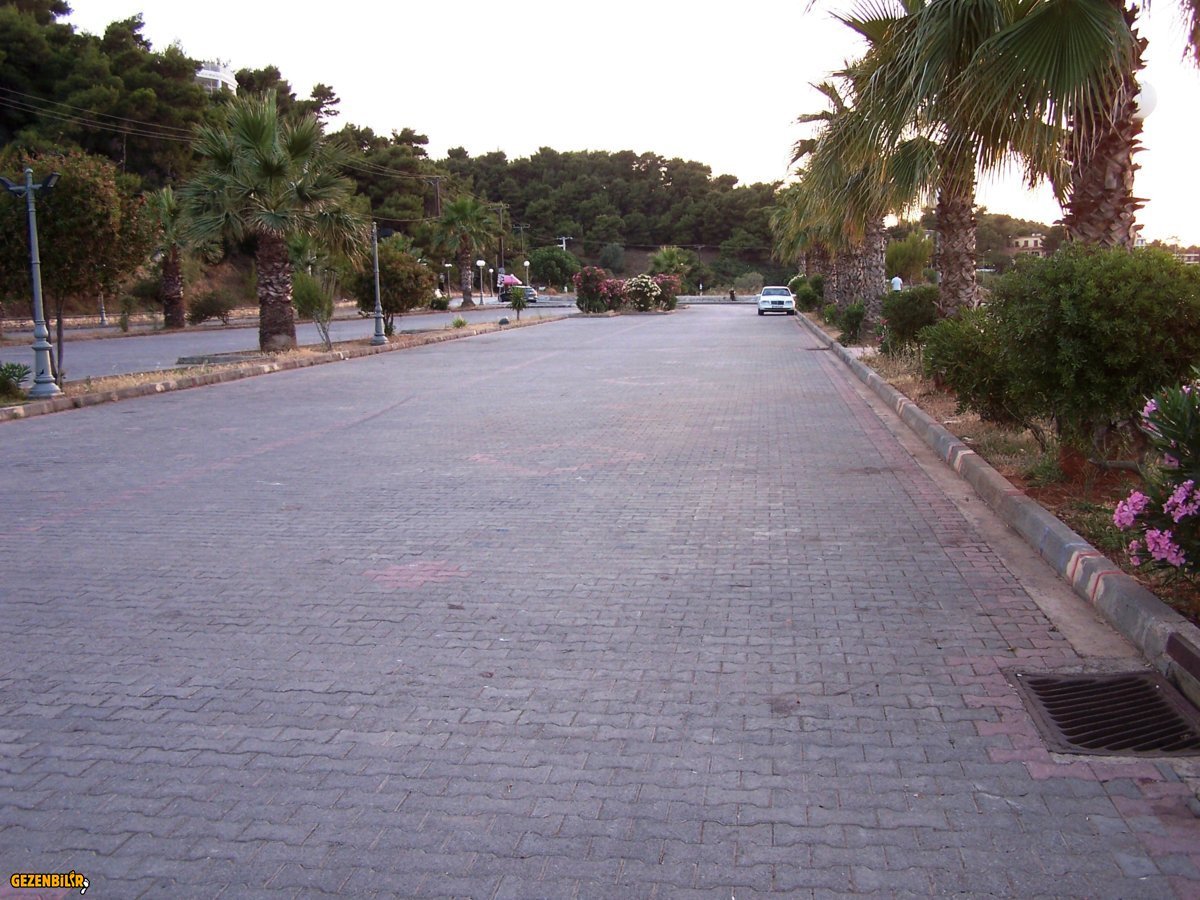 100_6273.JPG