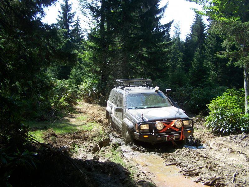100_6333.jpg
