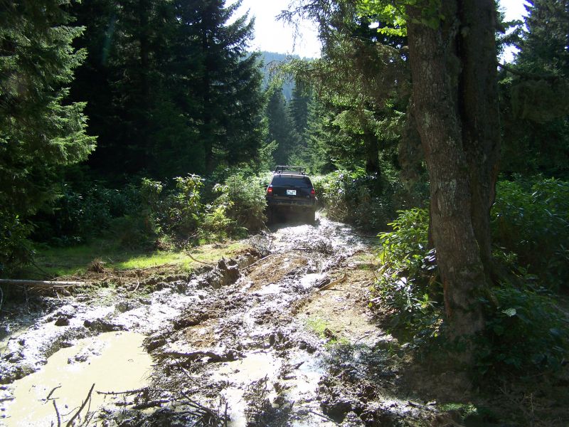 100_6377.jpg