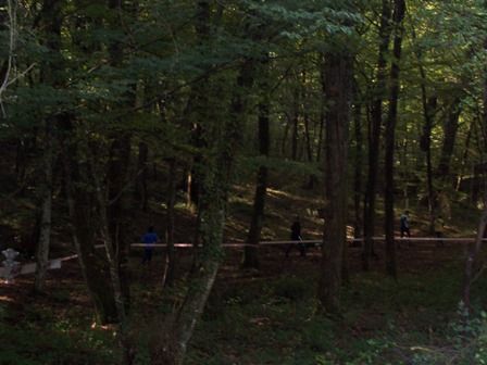 100_6409.jpg