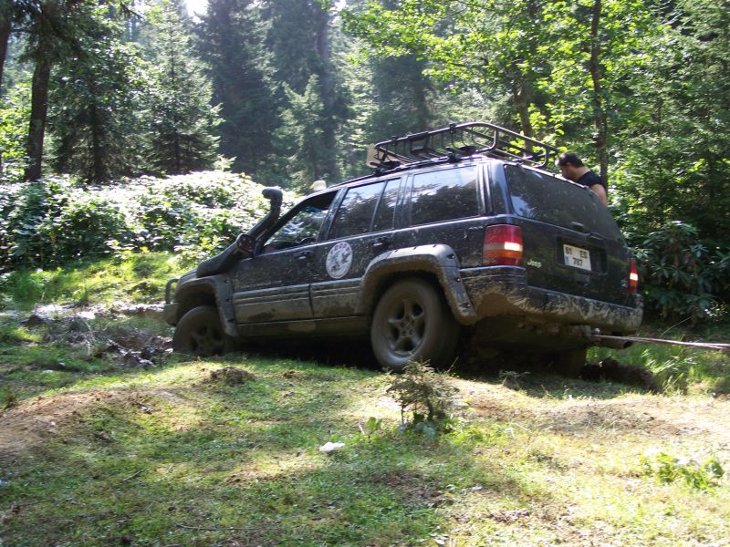 100_6464.jpg