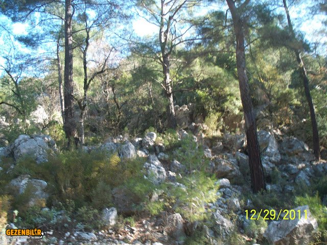 100_6553.jpg