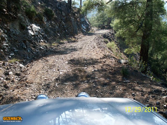 100_6563.jpg