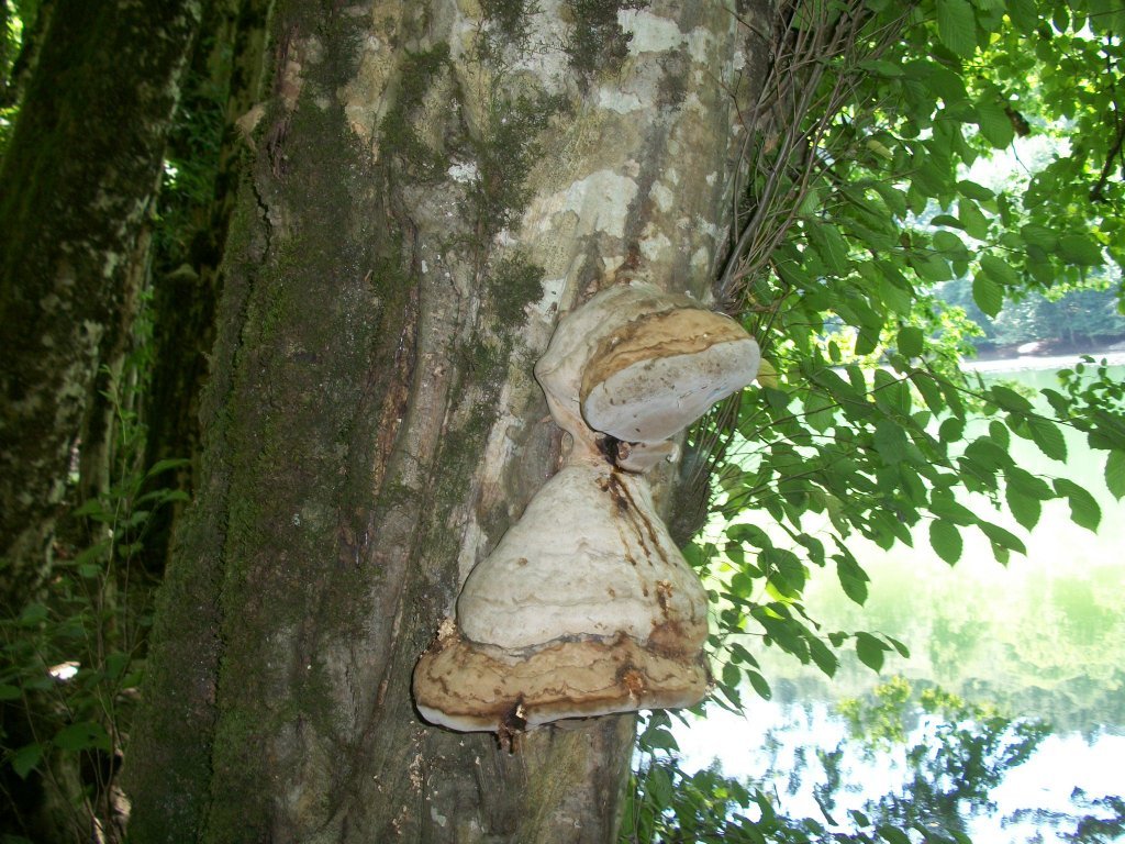 100_6566.JPG