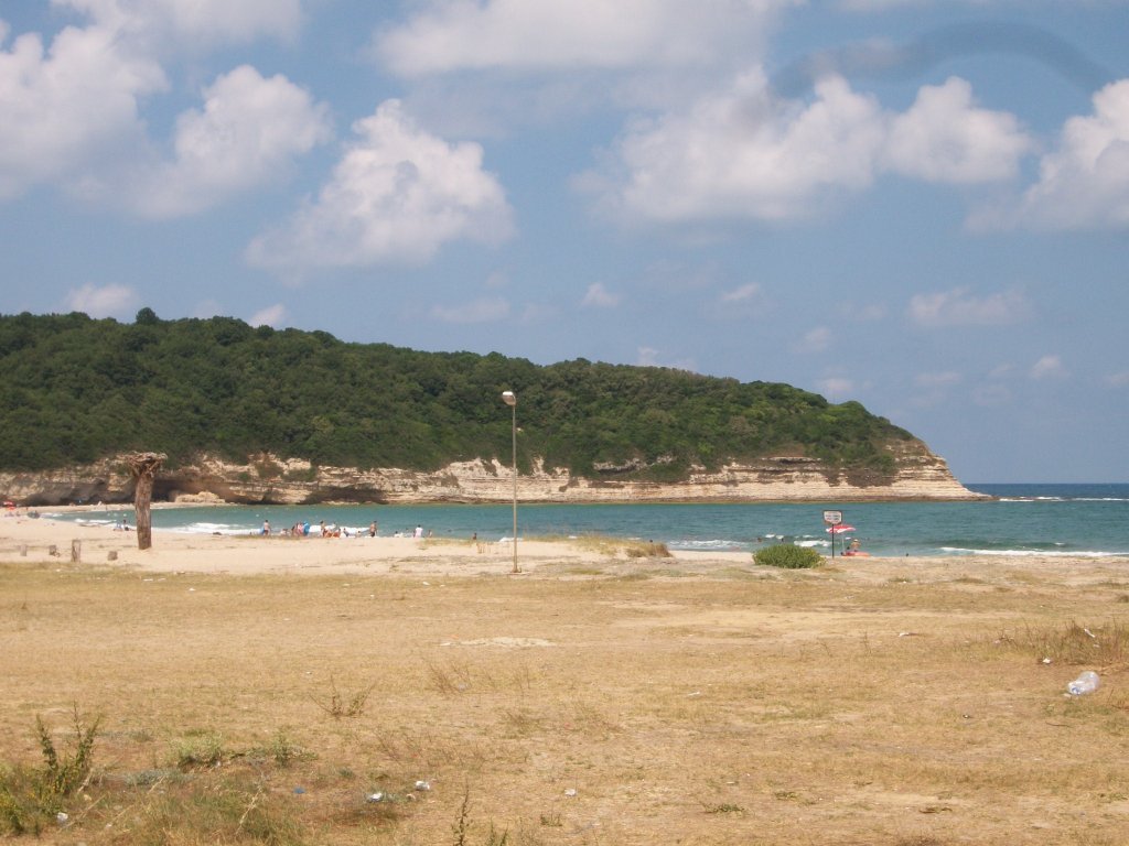 100_6671.JPG