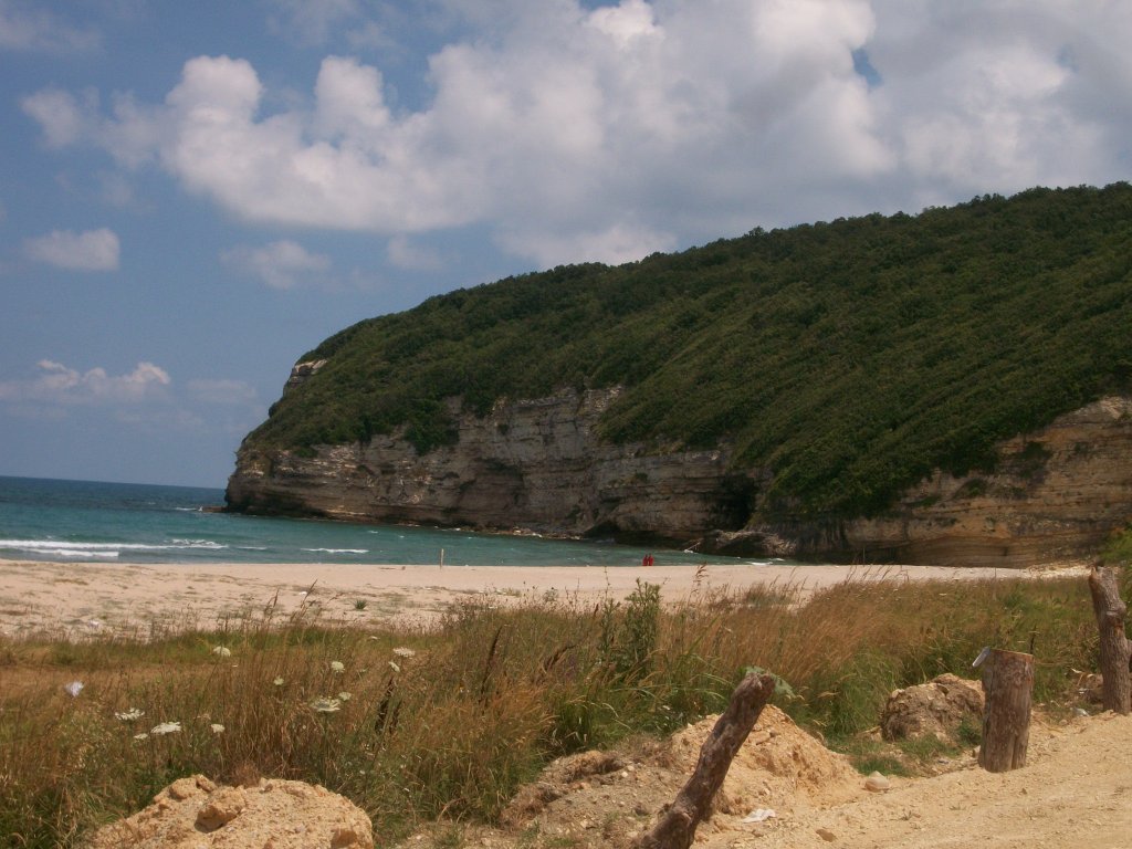 100_6673.JPG