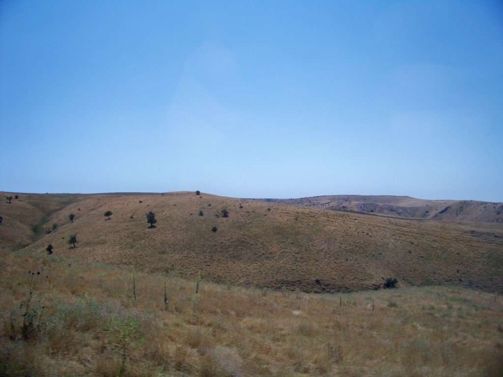 100_6920.jpg