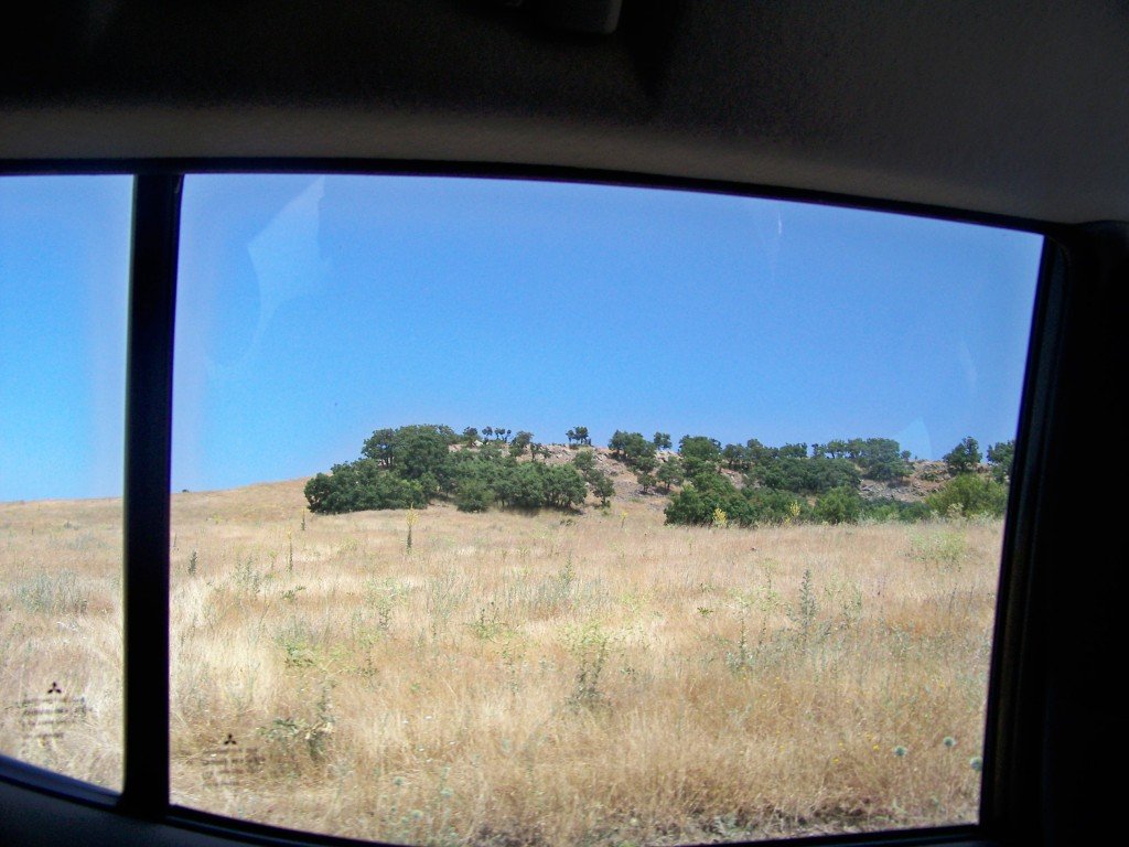 100_6923.jpg