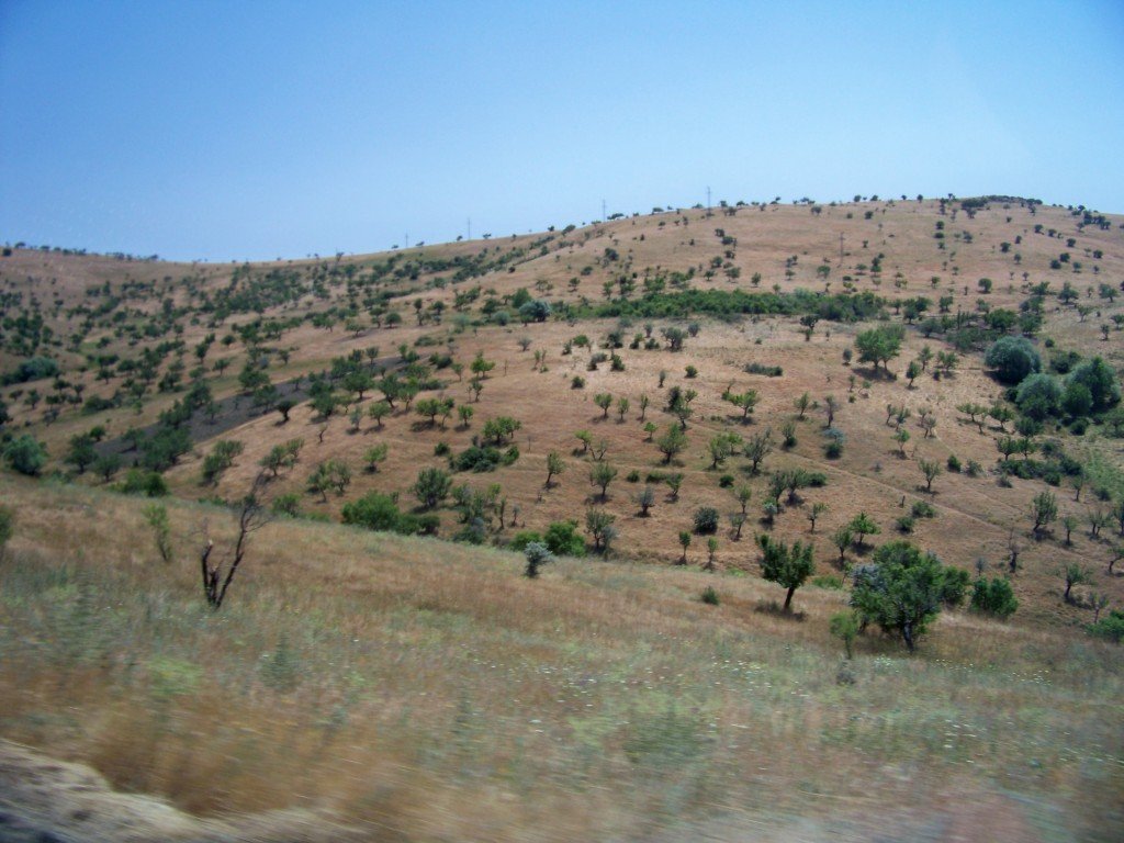 100_6924.jpg