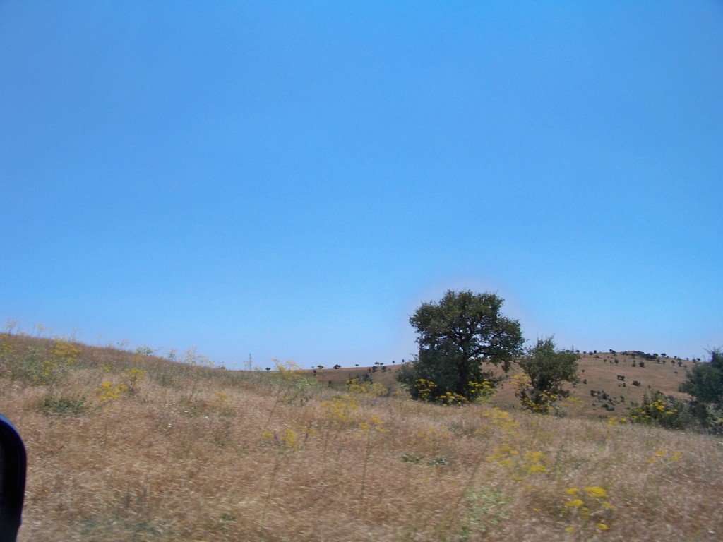 100_6926.jpg