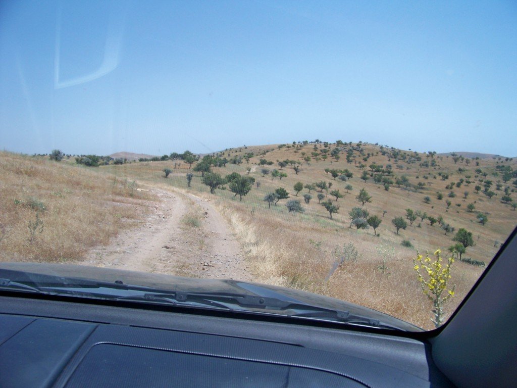 100_6929.jpg
