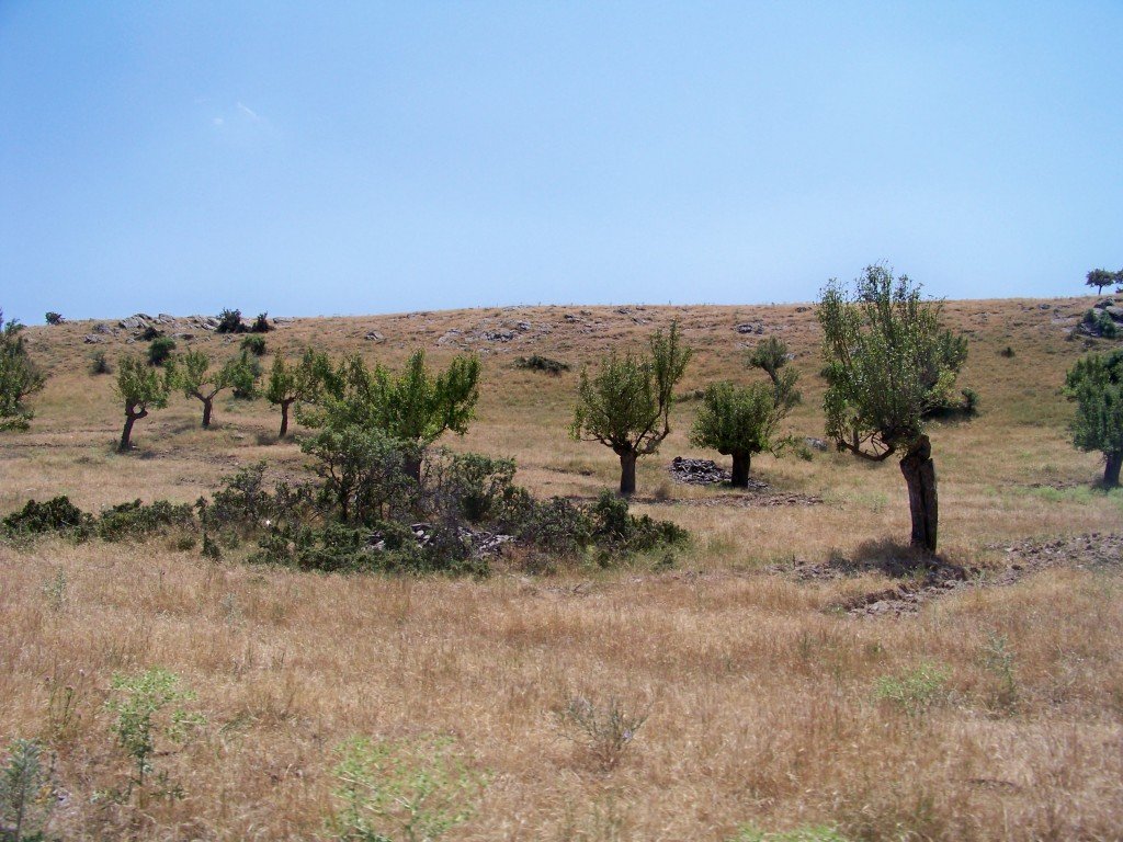 100_6933.jpg